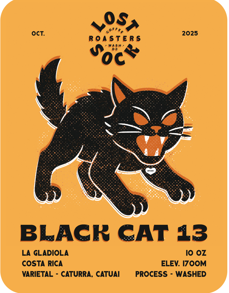 BLACK CAT 13