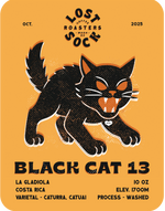 BLACK CAT 13