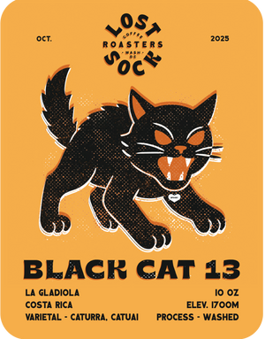 BLACK CAT 13